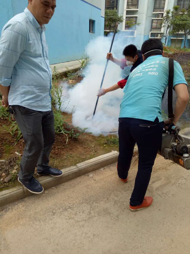 长沙社区白蚁防治