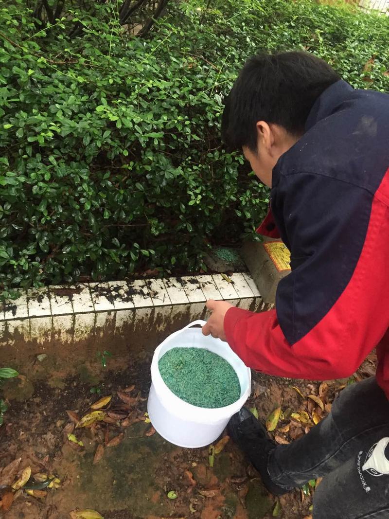 长沙娱乐场所灭鼠