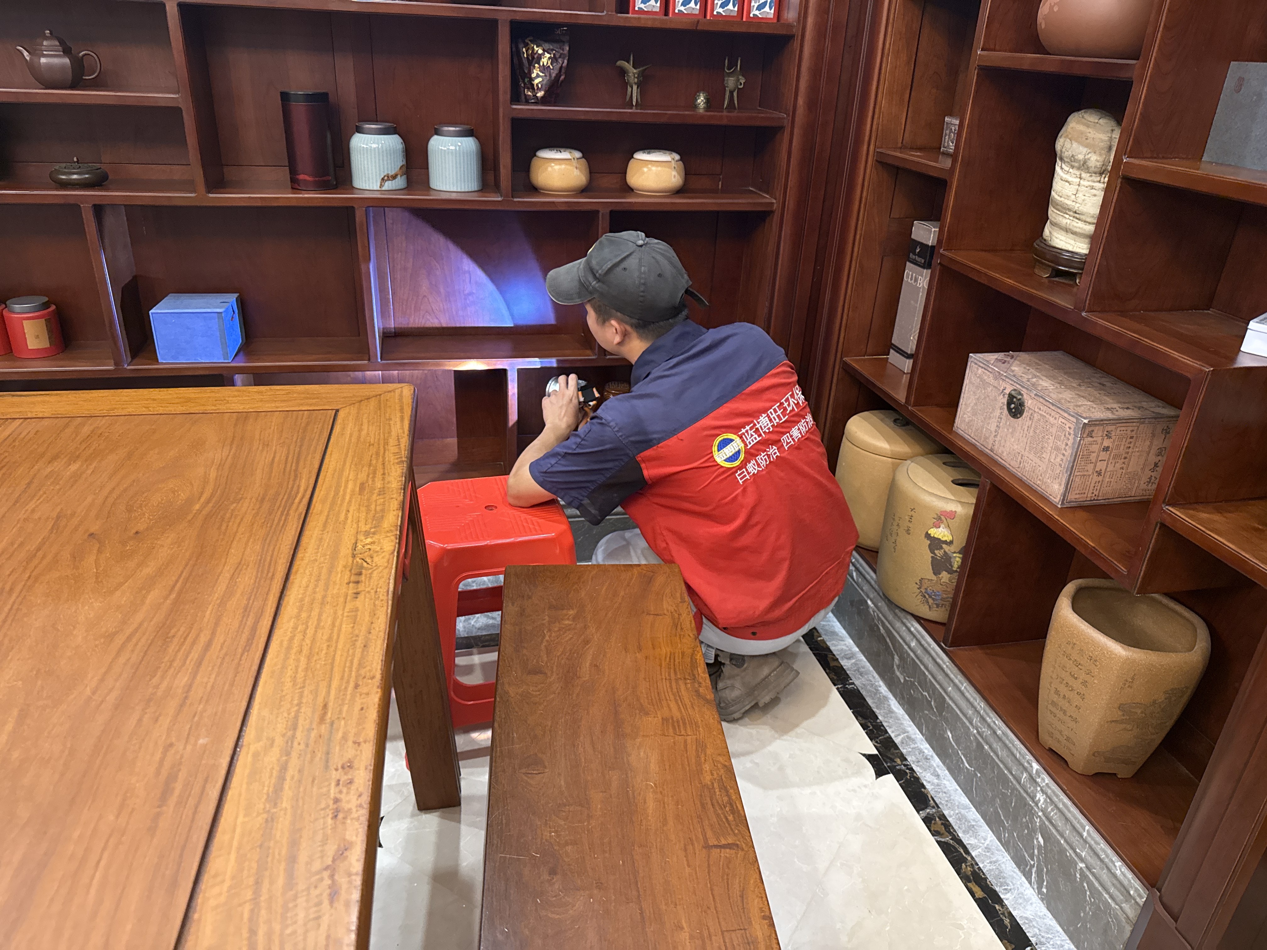 老鼠为什么总爱打洞？