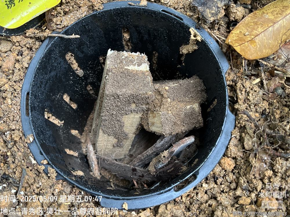 长沙地下引诱装置