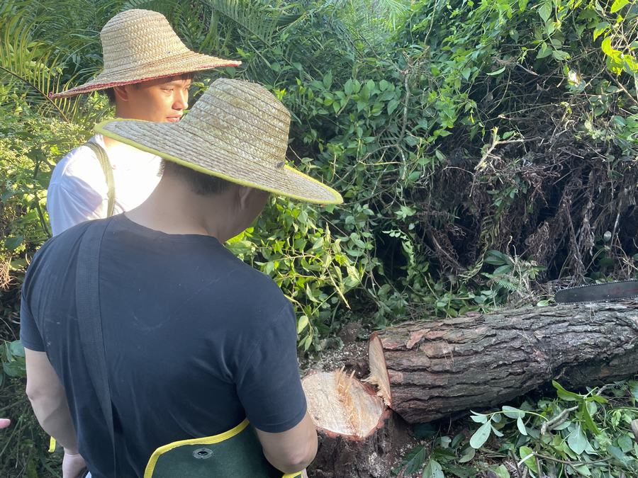 长沙林业有害生物防治
