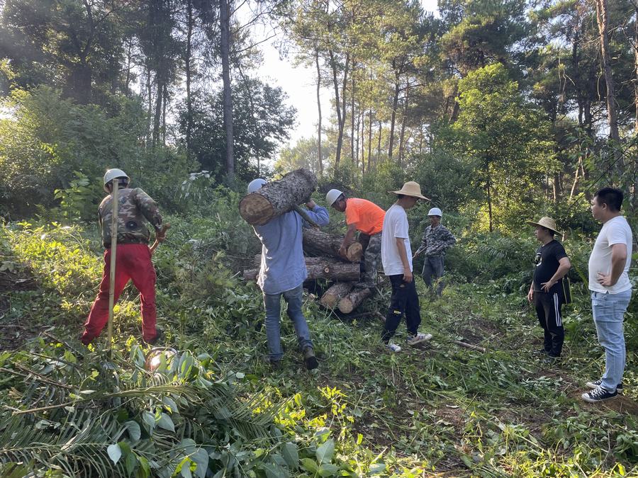 长沙林业有害生物防治