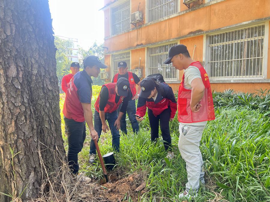 长沙白蚁防治训练营